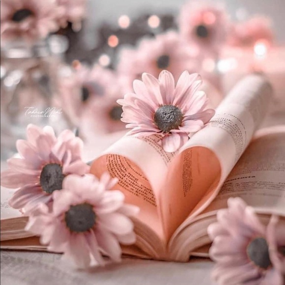 Find your tribe 💕 and let the others go 💕 - Picture 3 of 6